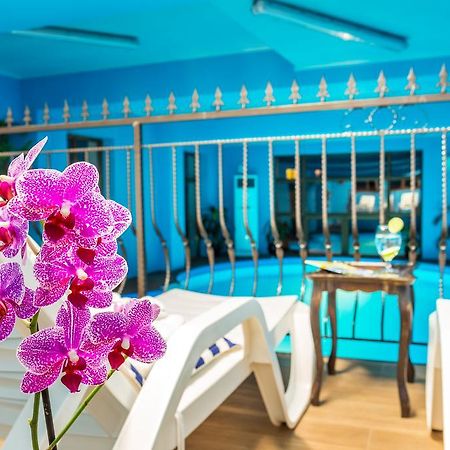 Chateau Montagne Hotel Troyan Троян Екстер'єр фото